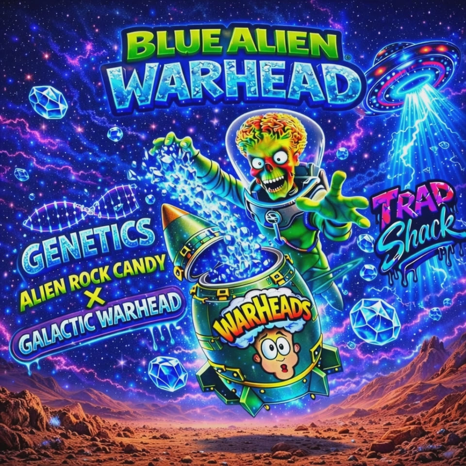 Trap Shack “ blue alien warhead  ” 7G  Glass Jar | Smell Proof | set of 16